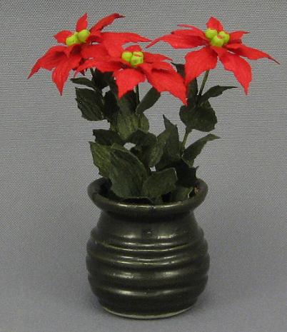 Poinsettia