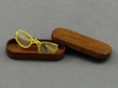 Lens Case with Glasses