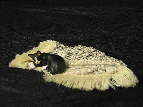 Naughty Kitty on Throw by Janet