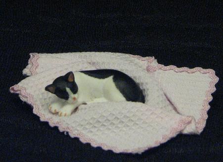 Naughty Kitty on Throw by Janet
