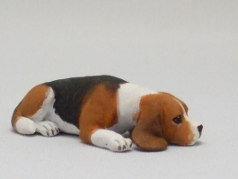 Beagle