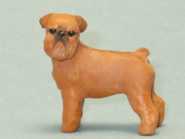 Brussels Griffon