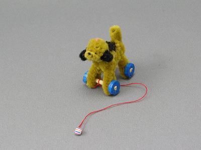 Dog on Wheels