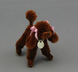 Dog on Leash