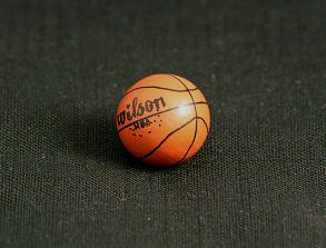 Wilson Basketball