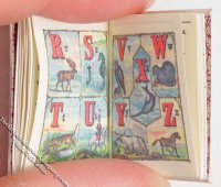 (image for) Miniature Picture Book: 'ABC of Nature'