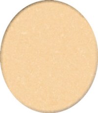 (image for) Carpet: Beige 0800, 14" x 18"
