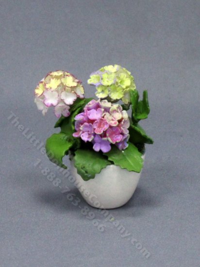 (image for) Miniature Pink Hydrangeas in a White Ceramic Pot