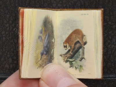 (image for) Miniature Book: 'Zoological Society of London'
