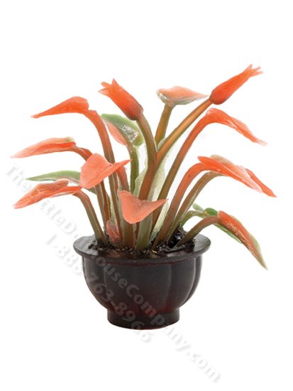 (image for) Miniature Red Plant