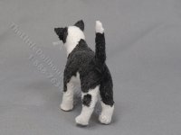 (image for) Miniature Cat by Marie W. Evans - Tuxedo