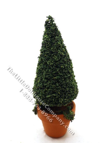 (image for) Miniature 5-1/2 Topiary in Mossy Terracotta Pot for Dollhouses