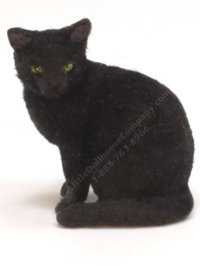 (image for) Miniature Black Domestic Shorthair Cat Karl Blindheim