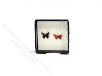 (image for) Miniature Butterfly for Dollhouses