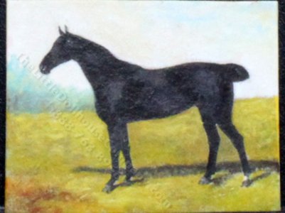 (image for) Golding Constable's Black Riding Horse by Larry Morganti