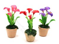 (image for) Miniature Potted Calla Lilies for Dollhouses