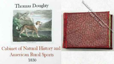 (image for) Miniature 'Cabinet of Natural History & American Rural Sports'