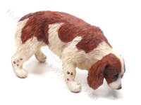 (image for) Miniature Red and White Spaniel Dog
