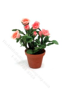 (image for) Miniature Terracotta Pot of Roses