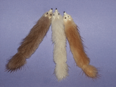 (image for) Miniature Flat Fur Stole