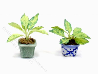 (image for) Miniature Dumb Cane Plant for Dollhouses