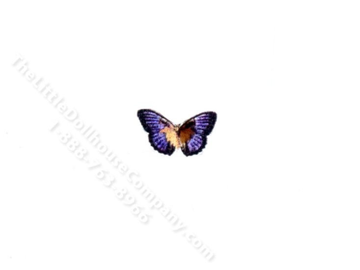 A generic image