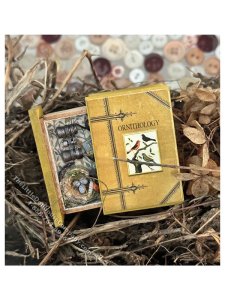 (image for) Miniature Curiosities Series - BIRDS Secret Book
