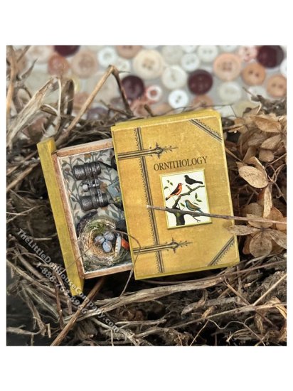 (image for) Miniature Curiosities Series - BIRDS Secret Book