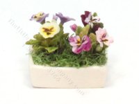 (image for) Miniature Pansies in White Rectangular Ceramic Planter