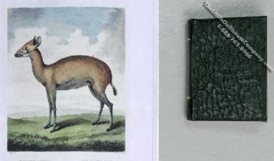 (image for) Miniature Book: 'Museum Leverianum', George Shaw, 1792
