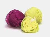 (image for) Miniature Cuttable Head of Red Cabbage