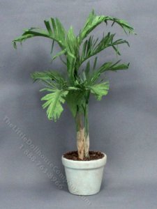 (image for) Miniature Palm Tree in a Planter For Dollhouses