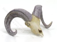 (image for) Miniature Ram's Skull by Jane Woodham of Truly Scrumptious