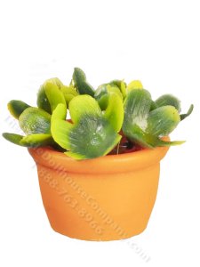 (image for) Miniature Plant in Terra Cotta Pot