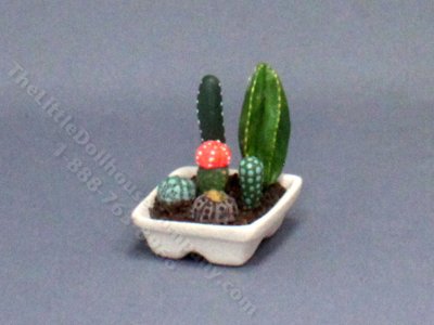 (image for) Dollhouse Miniature Potted Cactus Garden