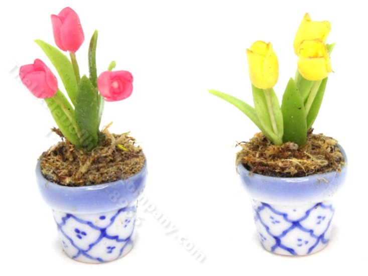(image for) Miniature Potted Tulips in Blue and White Pots (1pc)