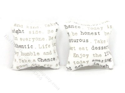 (image for) Miniature Pair of Inspiration Phrase Pillows