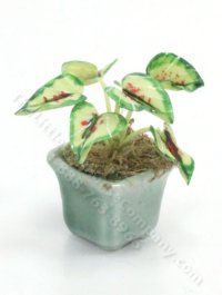 (image for) Miniature Caladium Plant in a Square Pot for Dollhouses
