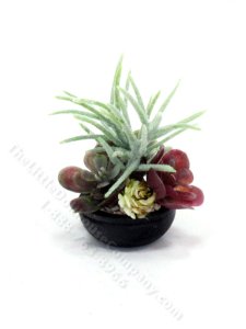 (image for) Miniature Succulent Arrangement for Dollhouses