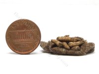(image for) Miniature Flat Sack of Parsnips by Charlotte Willmott