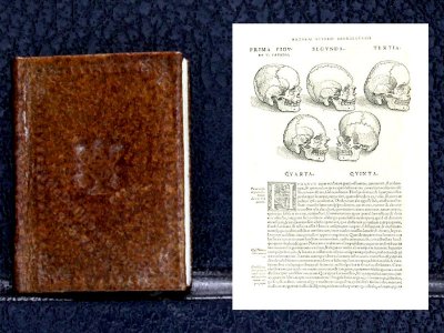 (image for) Miniature Book: 'De Humani Corporis Fabrica'