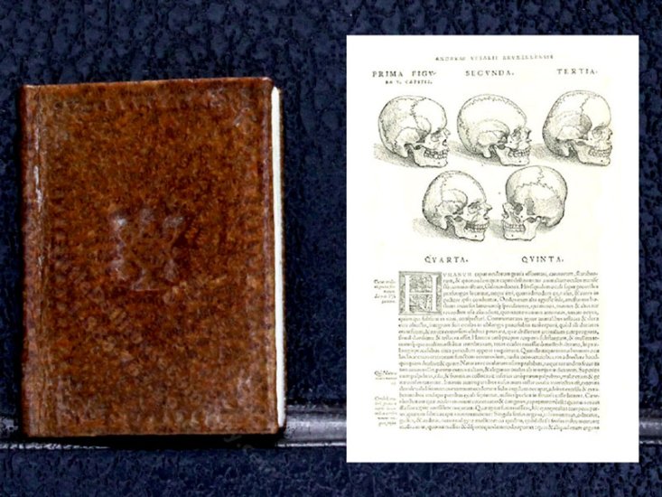 (image for) Miniature Book: 'De Humani Corporis Fabrica'