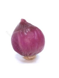 (image for) Miniature Cuttable Red Onion