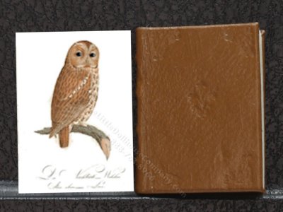 (image for) Miniature Book: 'Book of Birds'
