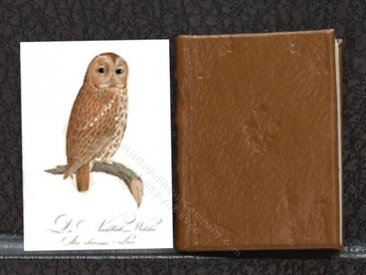 (image for) Miniature Book: 'Book of Birds'