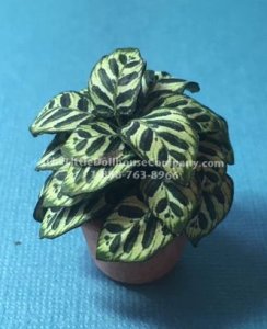 (image for) Miniature House Plant Kit For Dollhouses