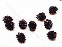 (image for) 1/2" Scale Pine Cones (10 pc)