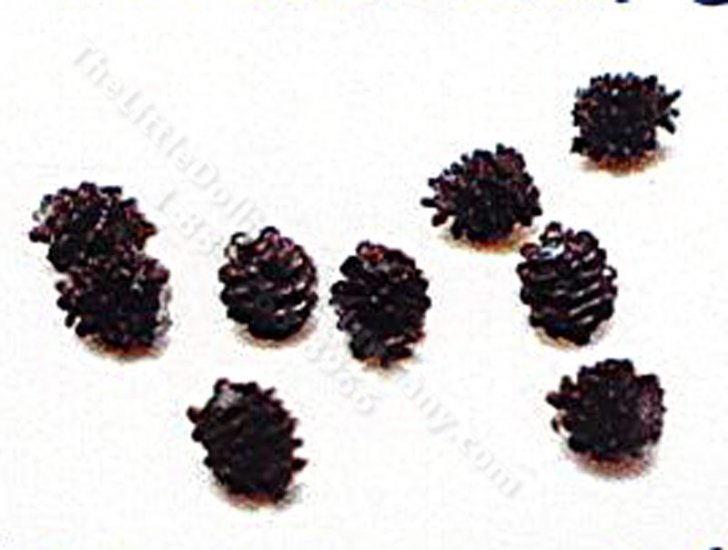 (image for) 1/2" Scale Pine Cones (10 pc)