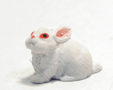 (image for) Miniature White Rabbit