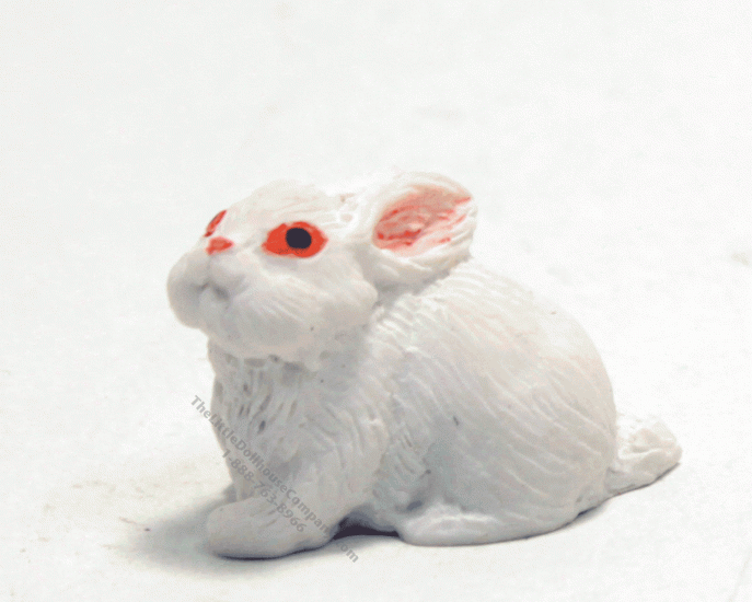 (image for) Miniature White Rabbit